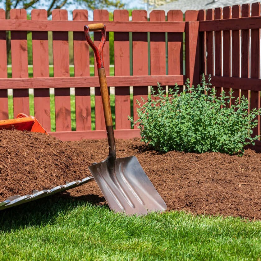 Organix Eco Mulch est un mélange riche et nutritif conçu pour enrichir et revitaliser votre jardin. Ce paillis est idéal pour améliorer la santé et la structure du sol dans les jardins, les vergers et les paysages. Composants : Compost de champignons vieillis Humus de vers de terre Écorce de pin 